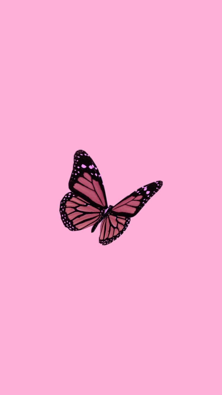 Pink Butterfly Wallpapers