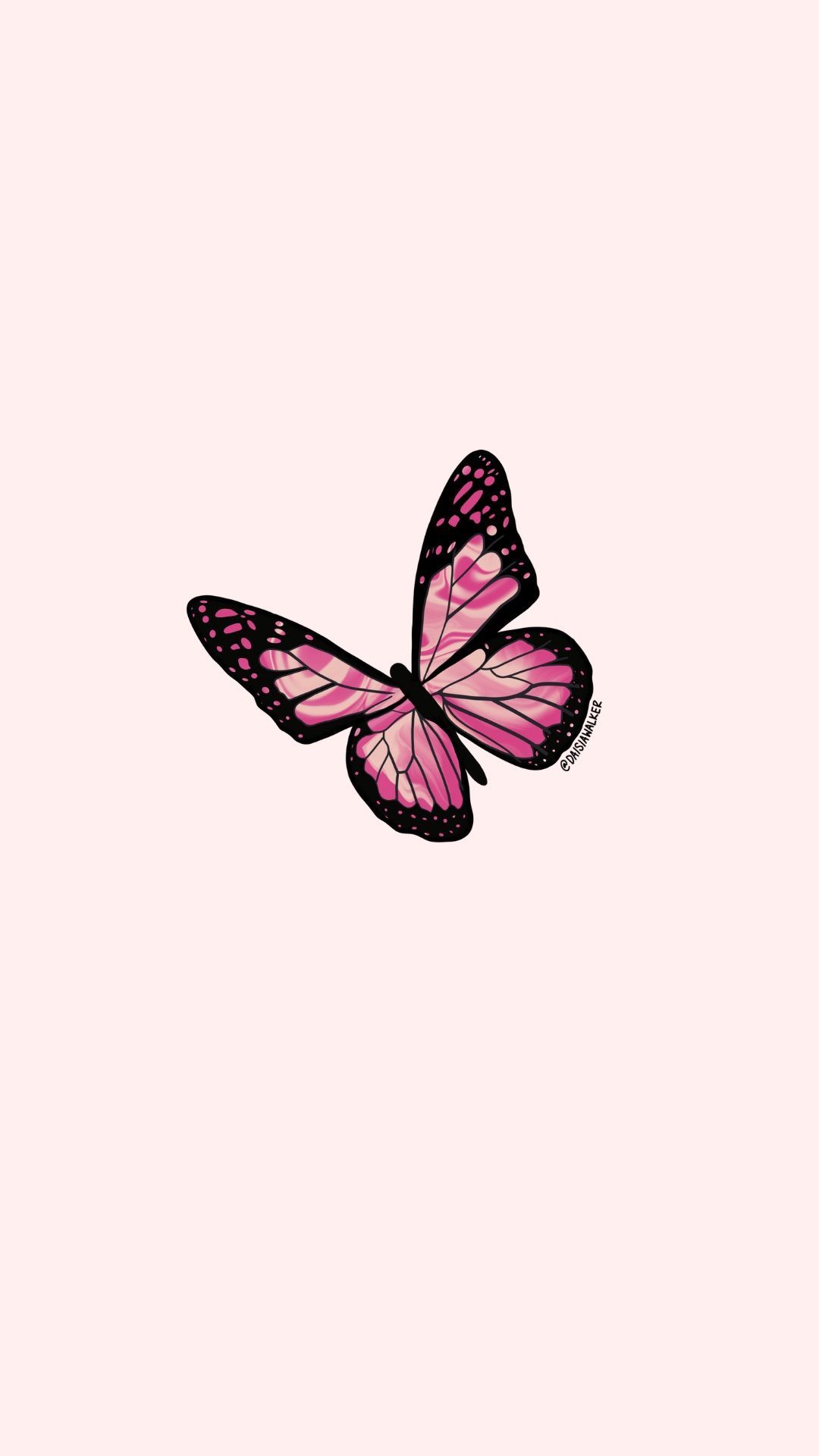 Pink Butterfly Wallpapers