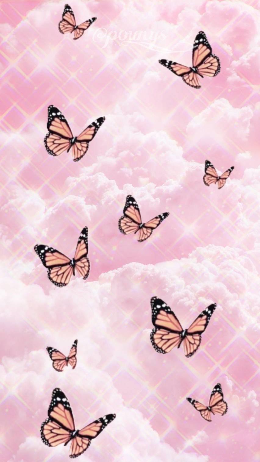 Pink Butterfly Phone Wallpapers