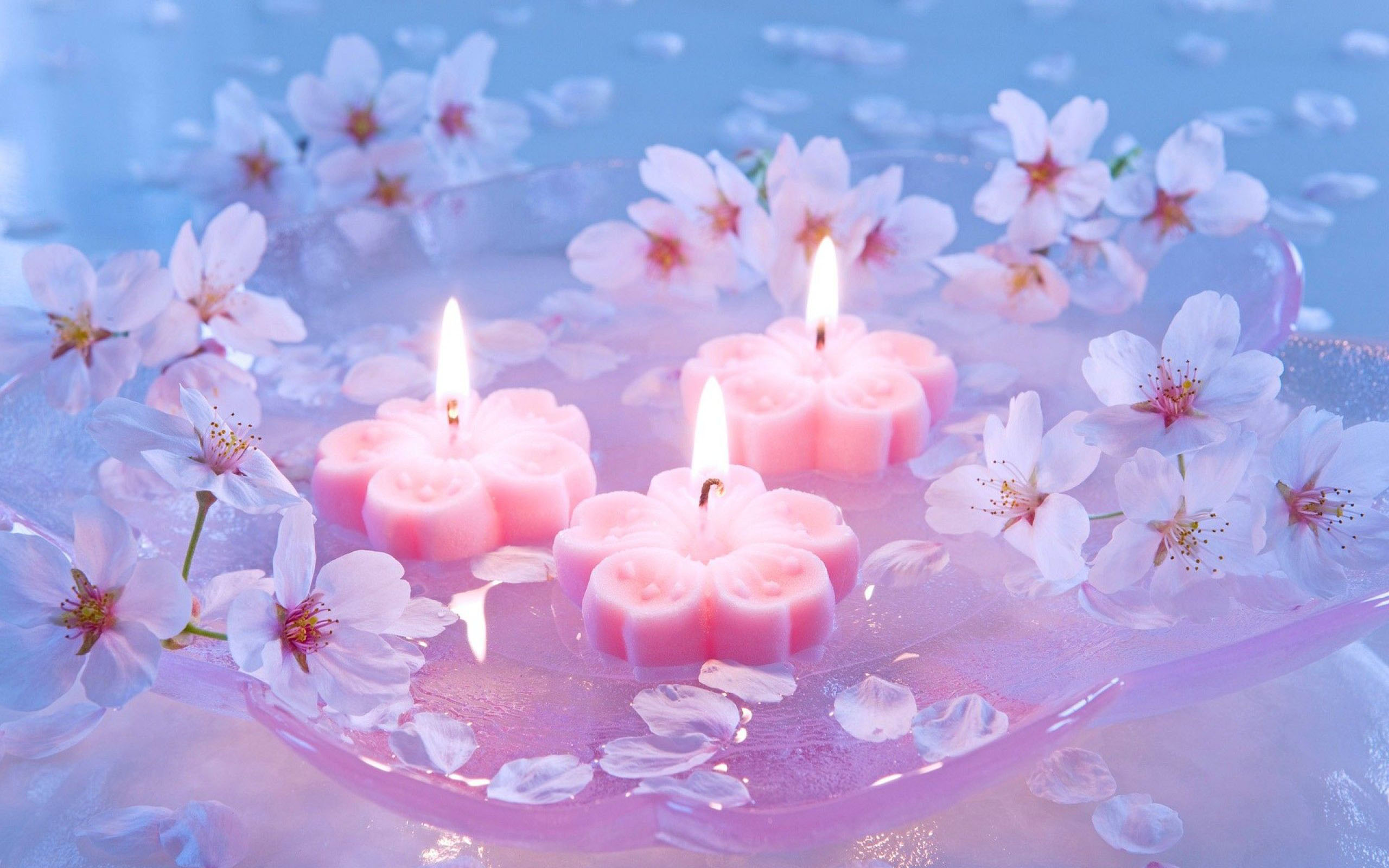 Pink Candles Wallpapers