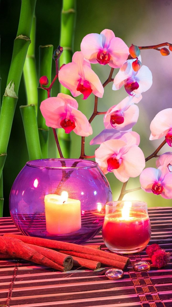 Pink Candles Wallpapers