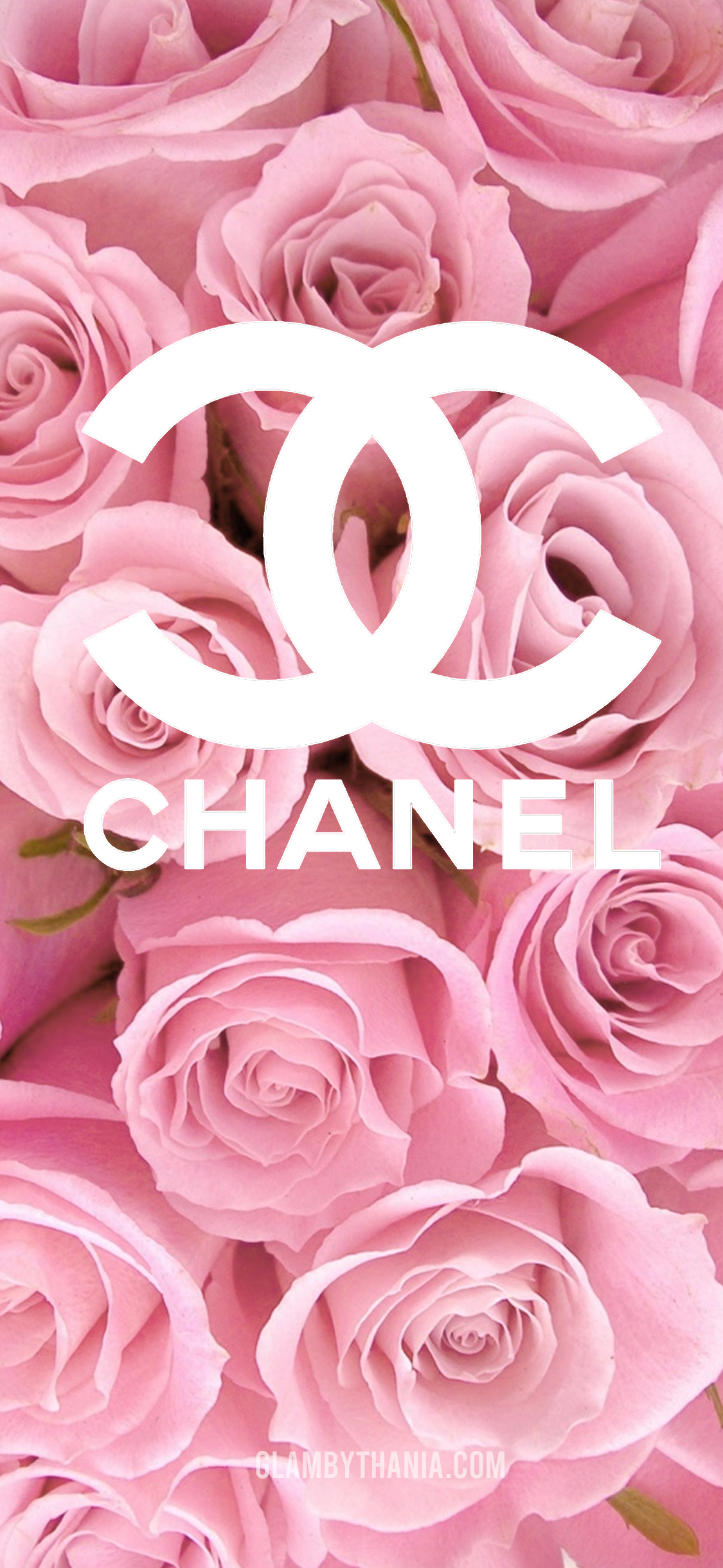 Pink Chanel Wallpapers