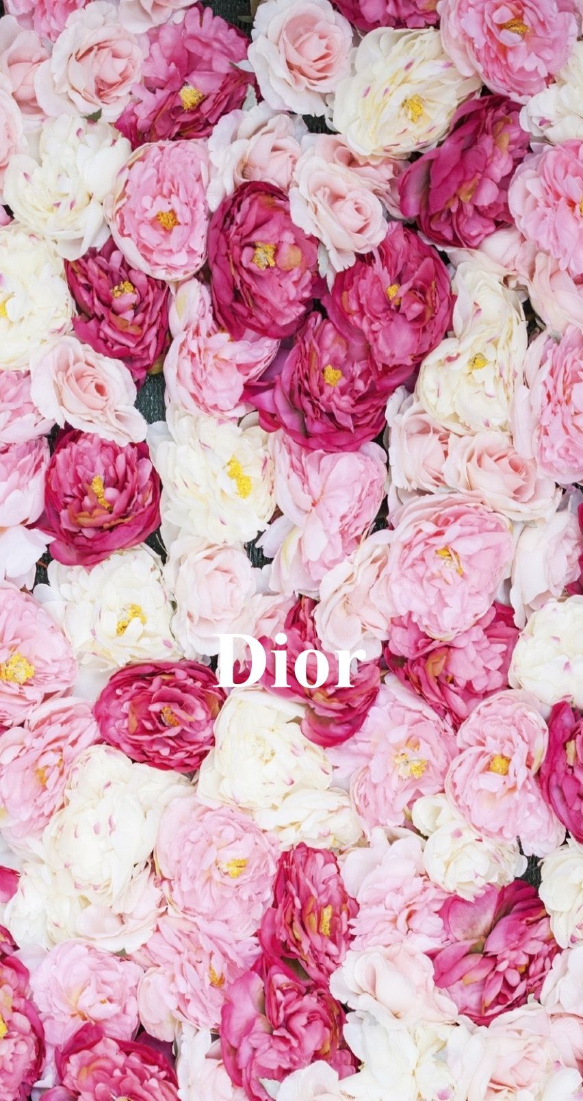 Pink Dior Wallpapers