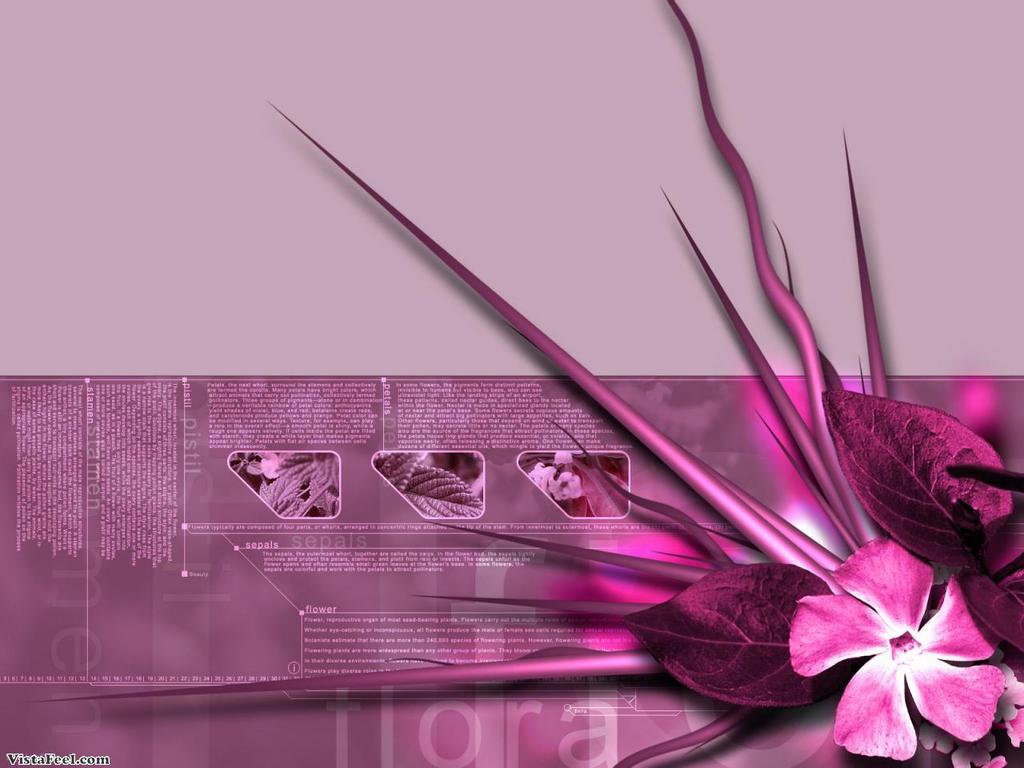 Pink Diva Wallpapers