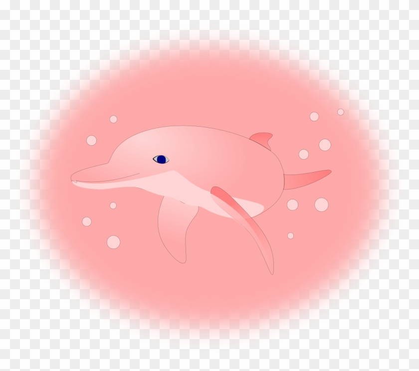 Pink Dolphin Logo Wallpapers