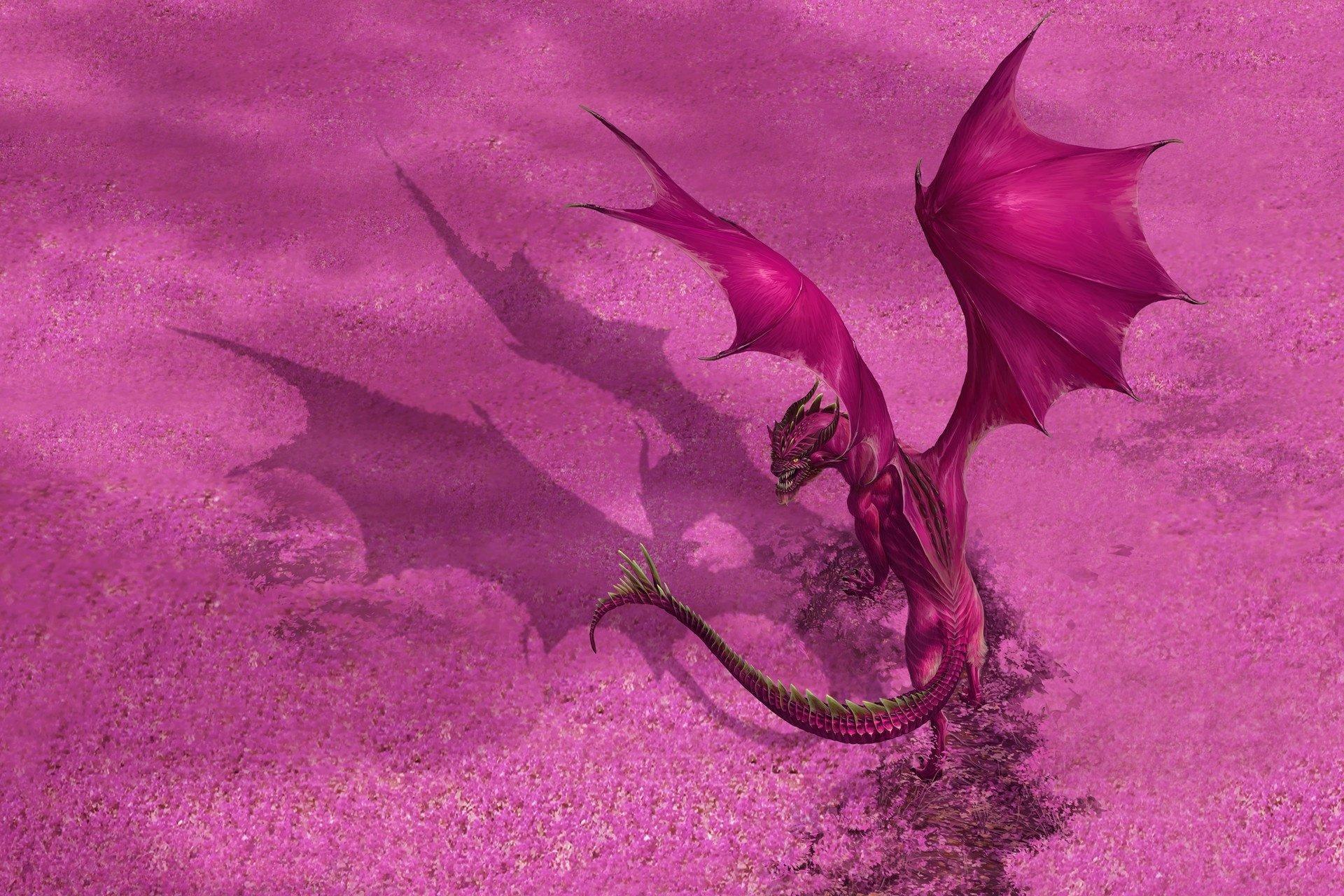 Pink Dragon Wallpapers