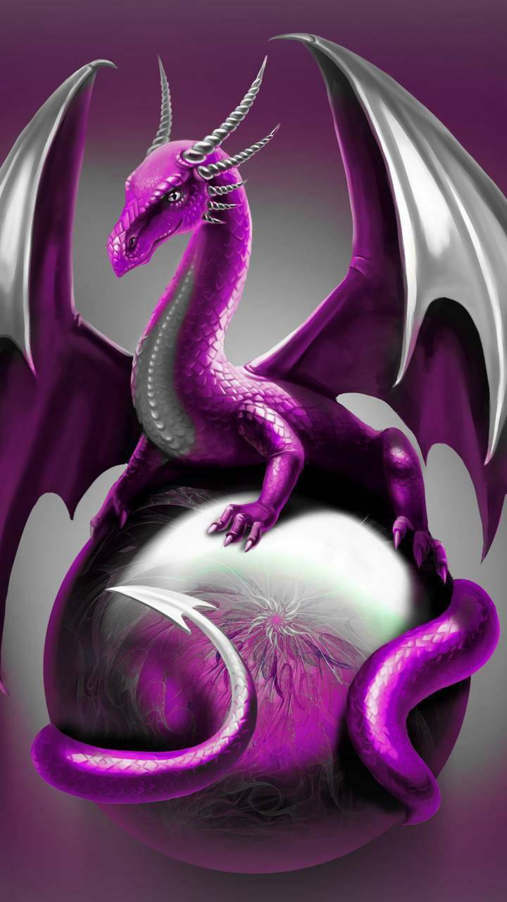 Pink Dragon Wallpapers