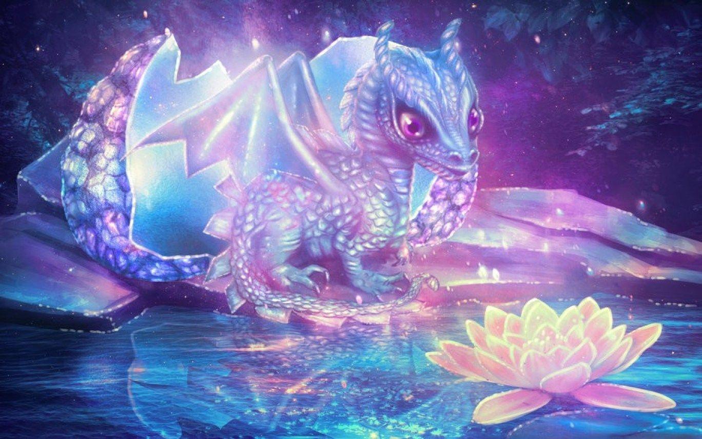 Pink Dragon Wallpapers