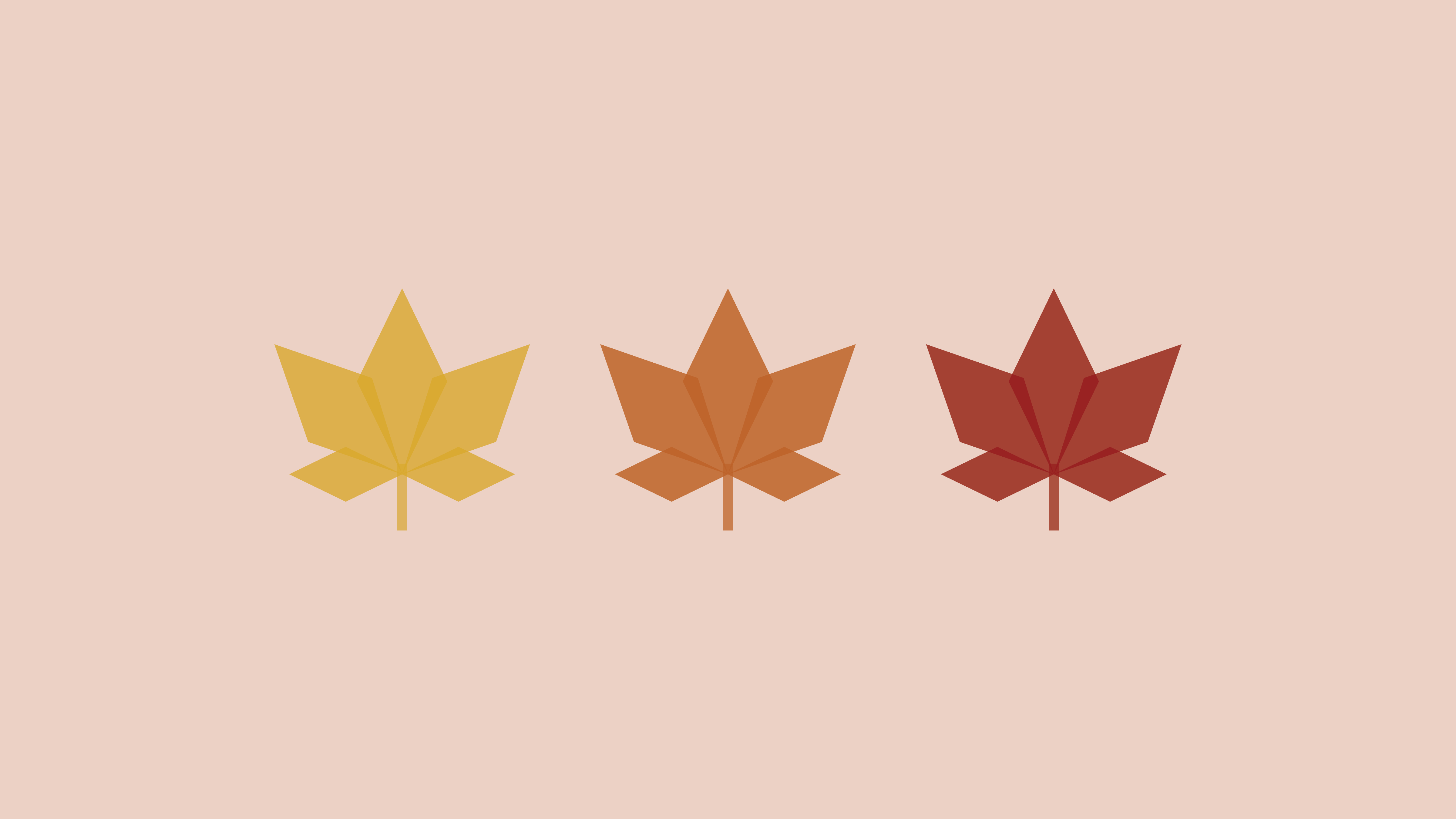 Pink Fall Wallpapers