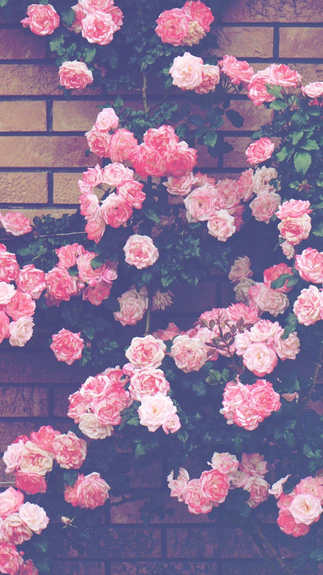 Pink Flowers Aesthetic Wallpapers