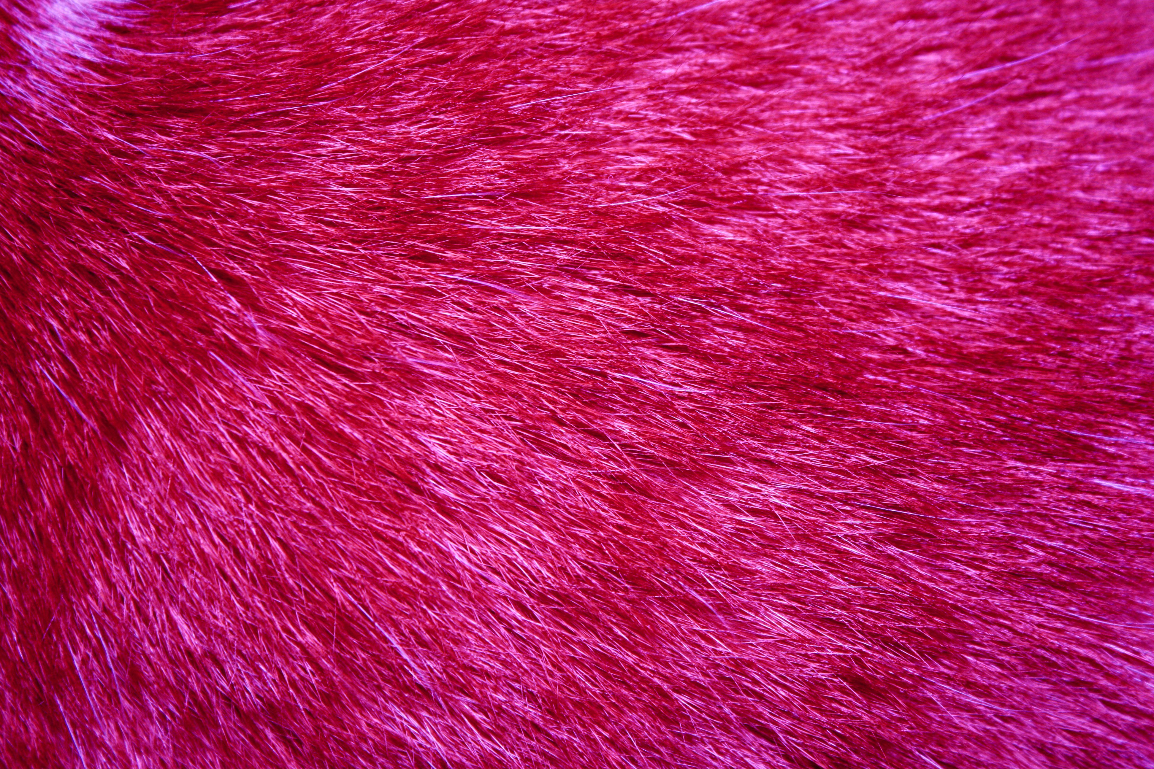 Pink Fur Wallpapers