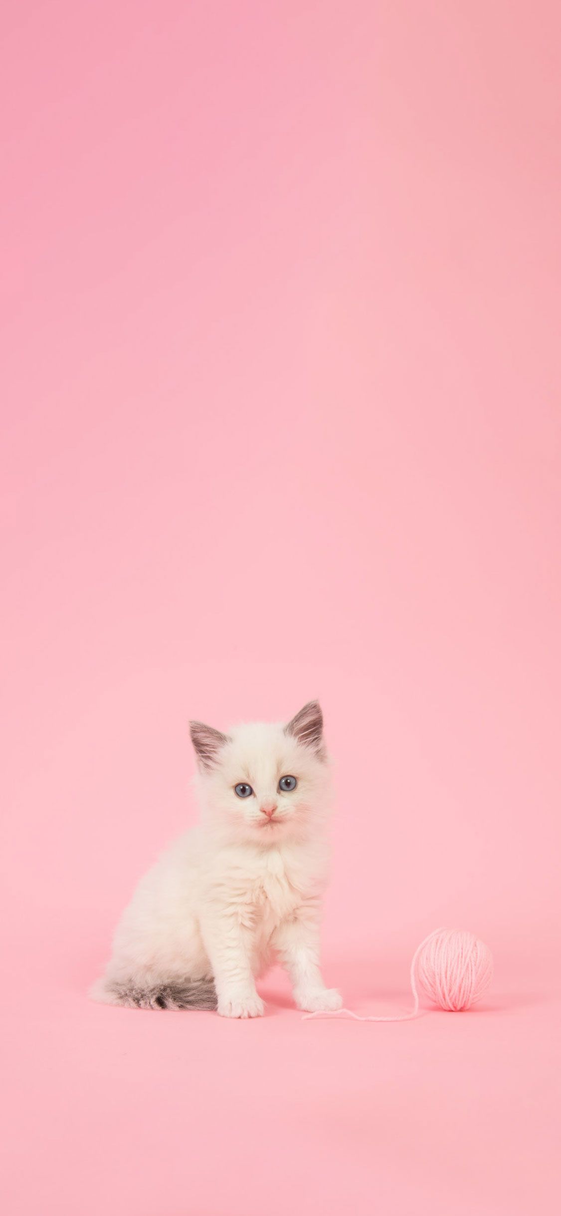 Pink Girly Wallpapers