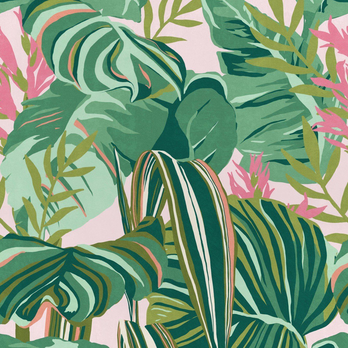 Pink Green Wallpapers