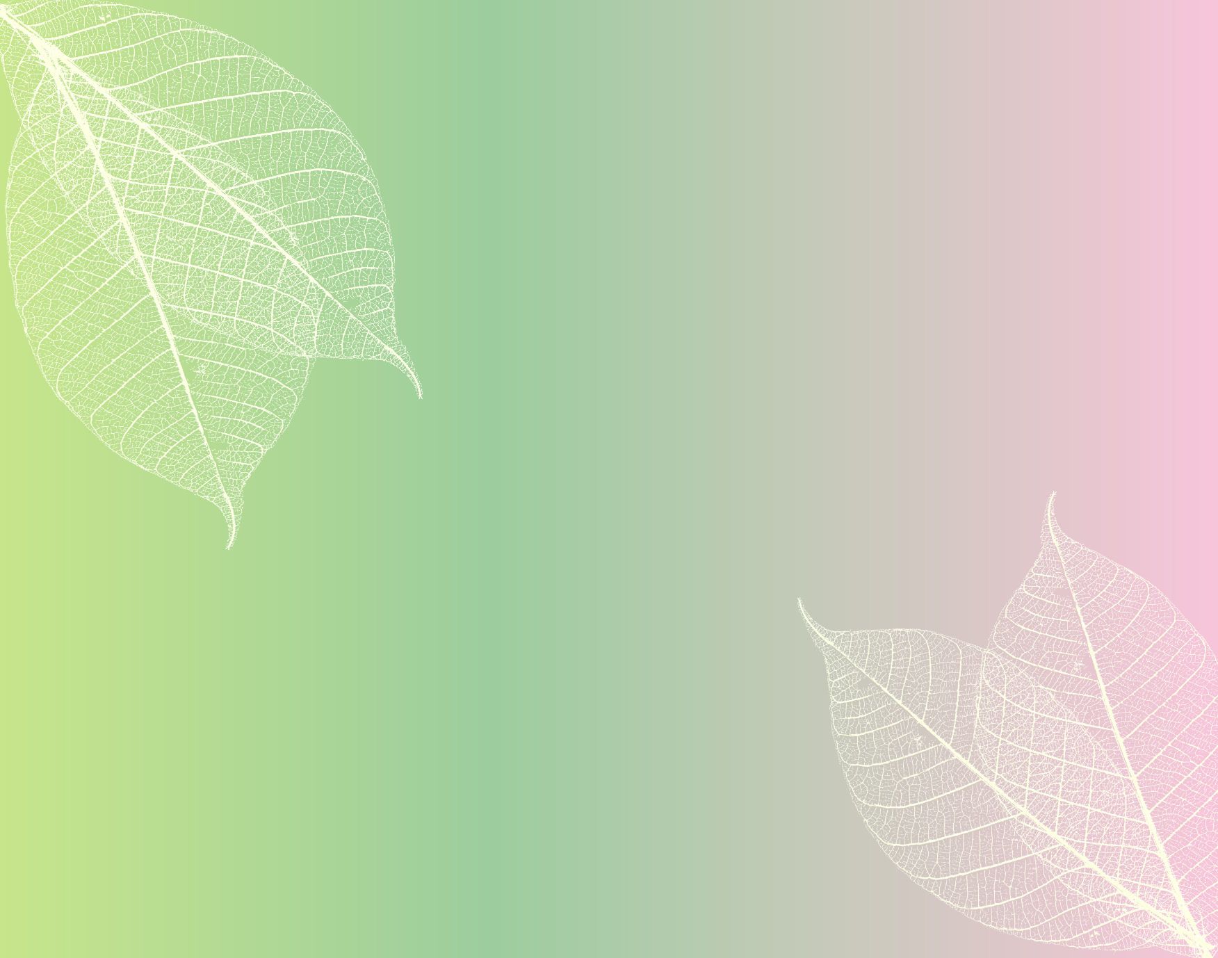 Pink Green Wallpapers