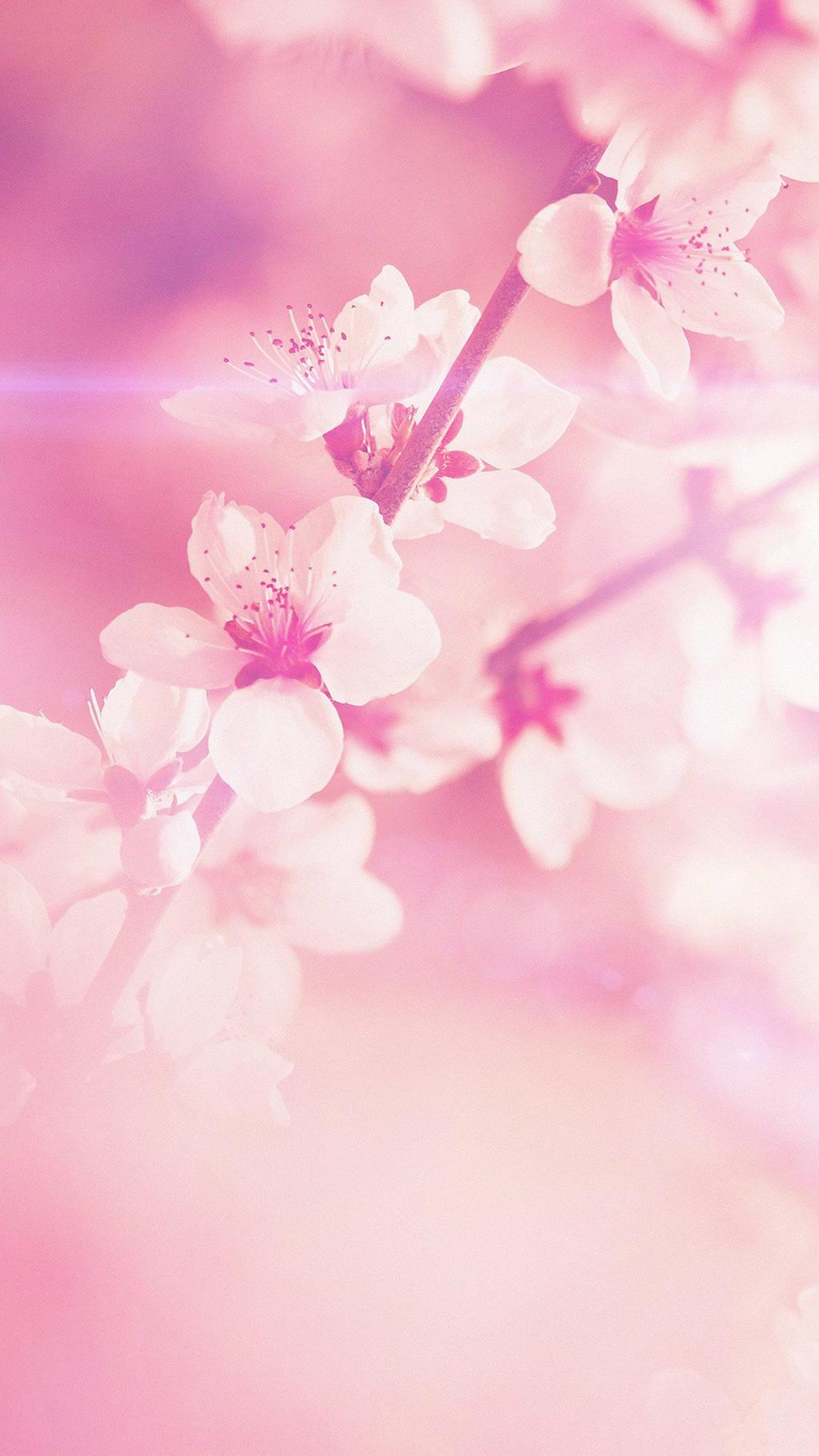 Pink Iphone 4S Wallpapers