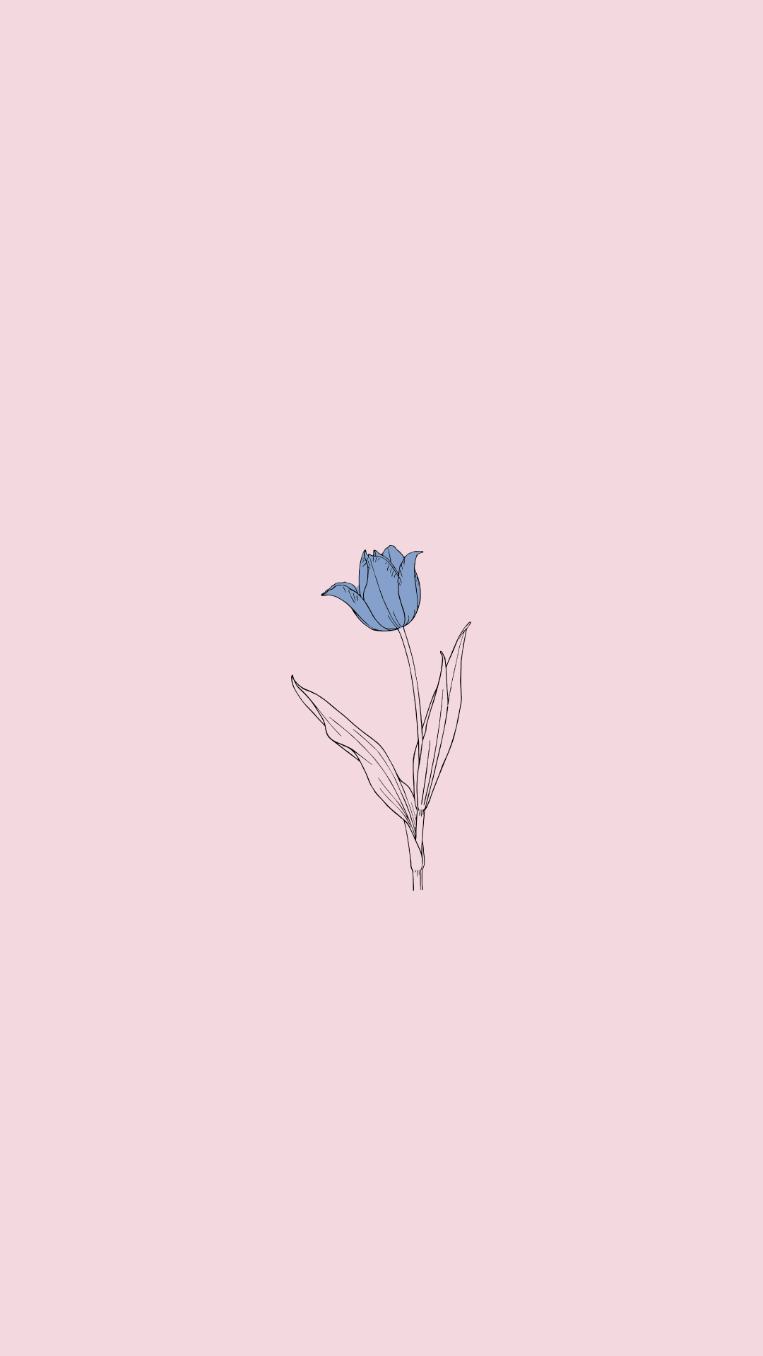 Pink Minimalist Wallpapers