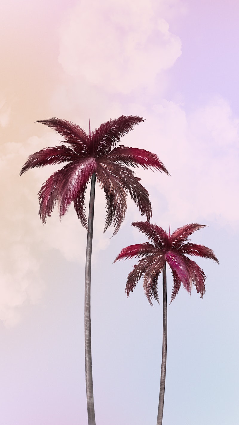 Pink Palm Tree Wallpapers