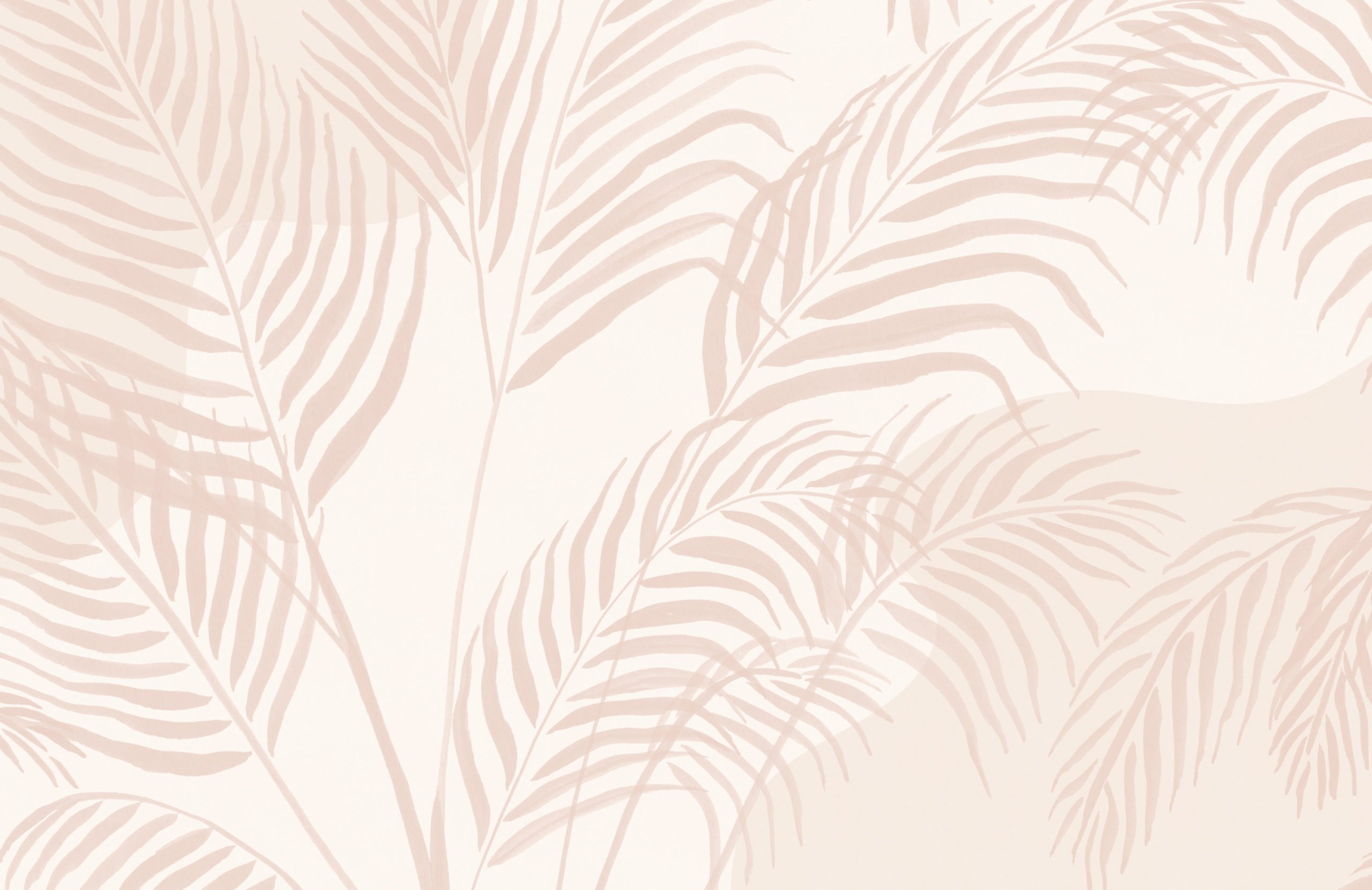 Pink Palm Tree Wallpapers