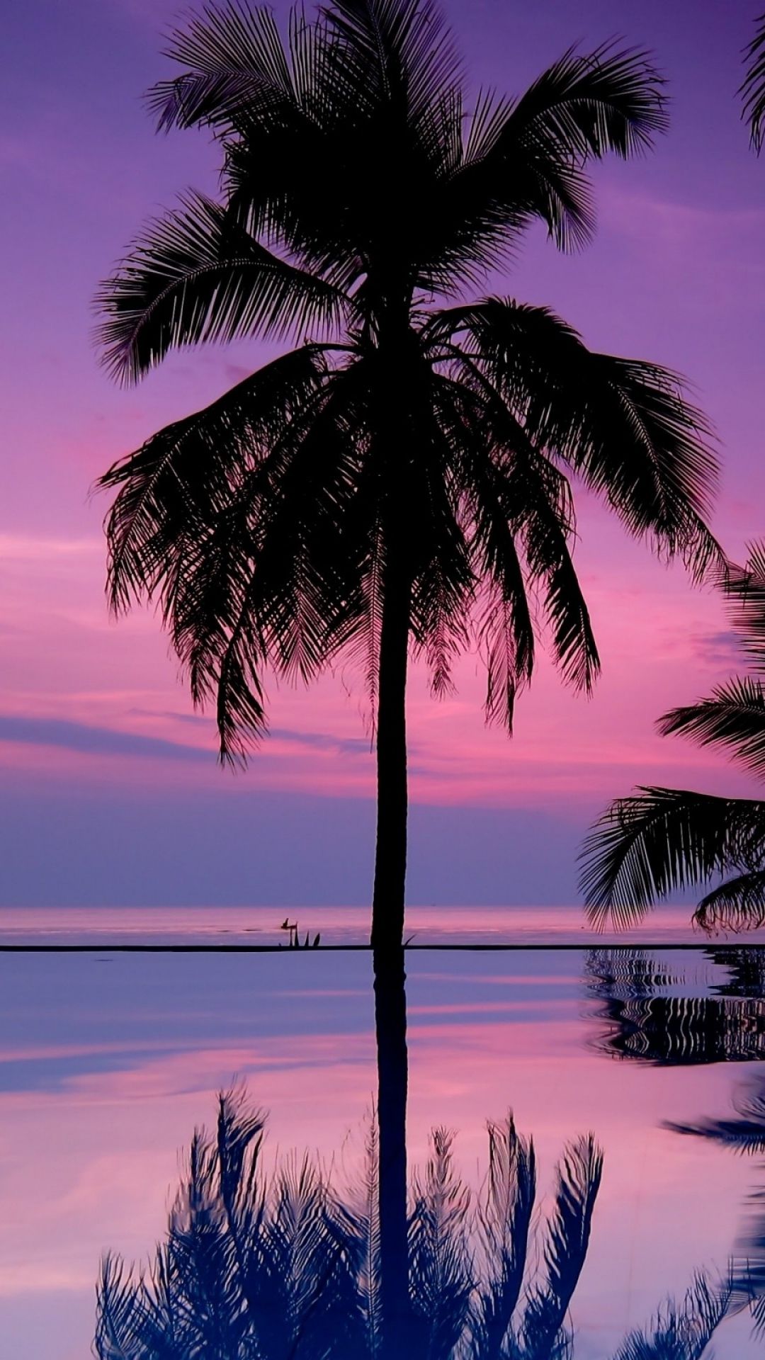 Pink Palm Tree Wallpapers