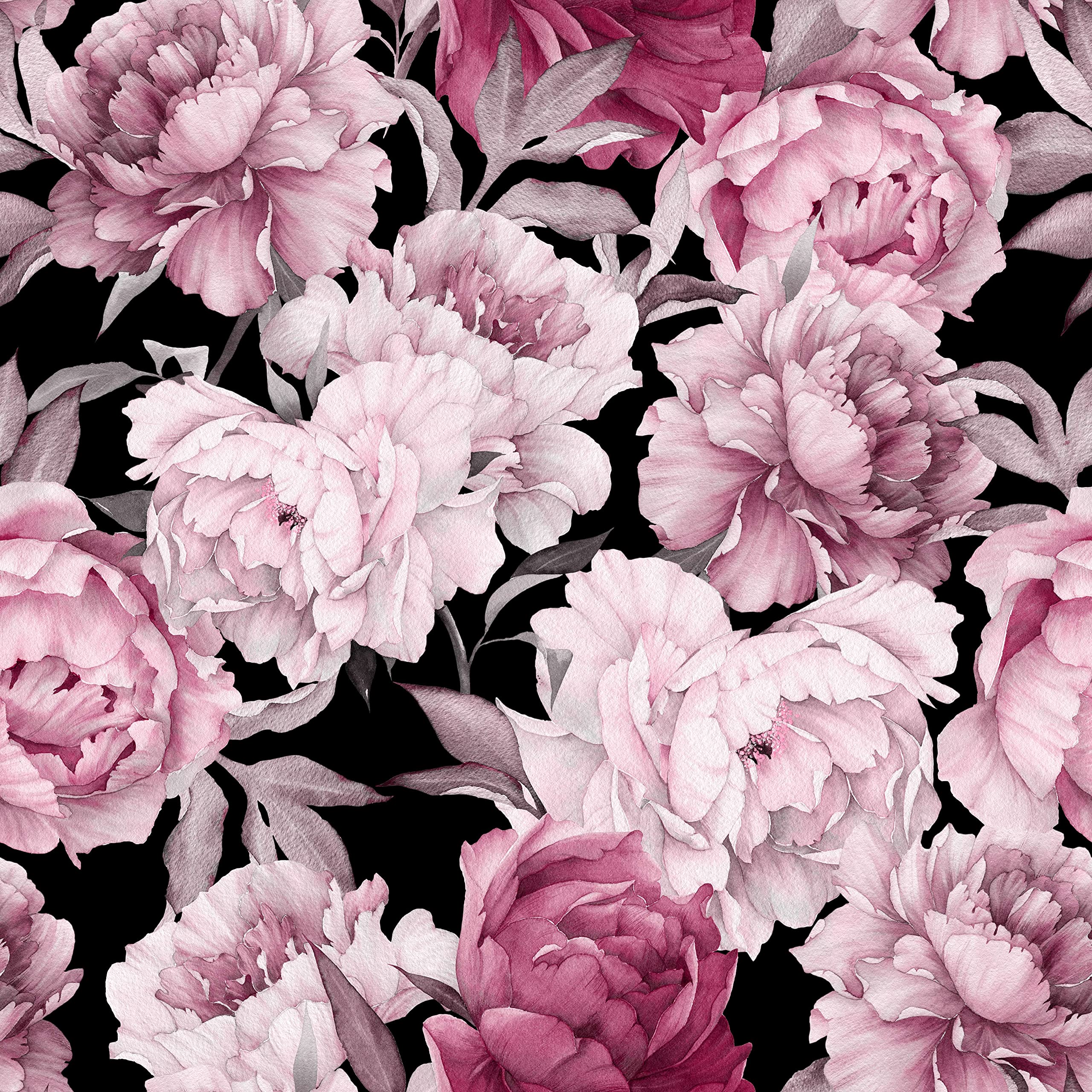 Pink Peony Wallpapers