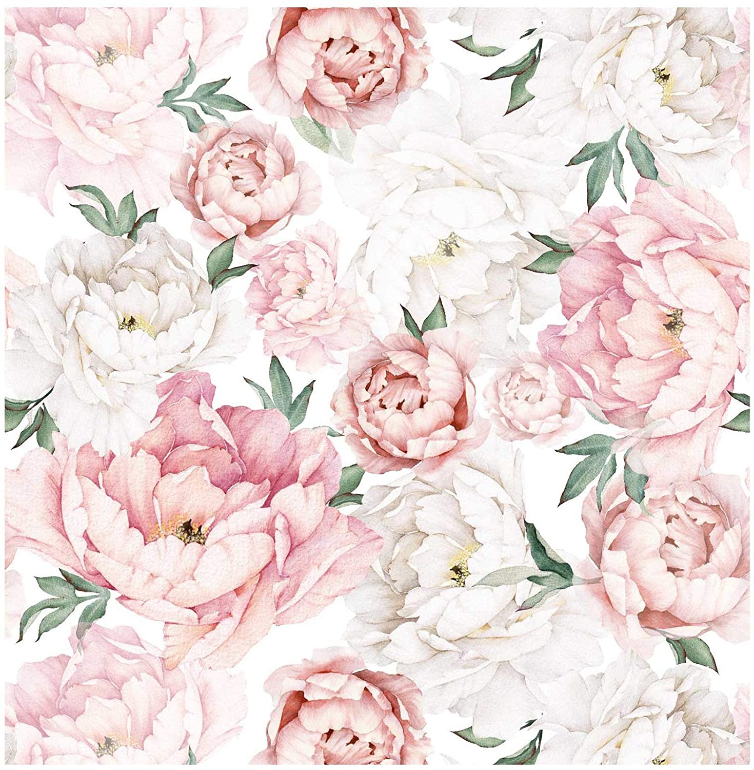 Pink Peony Wallpapers