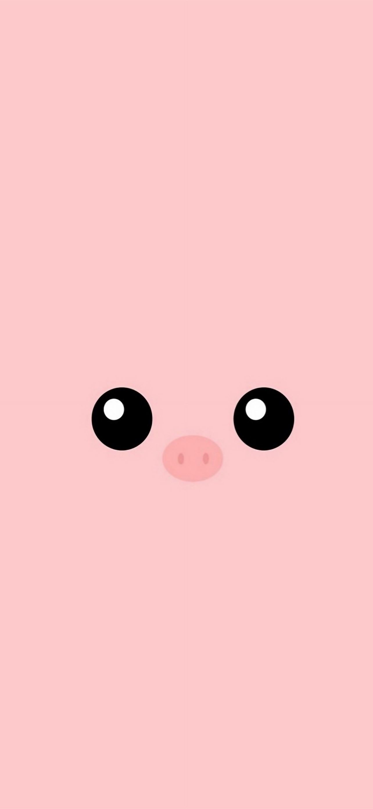 Pink Piggy Wallpapers