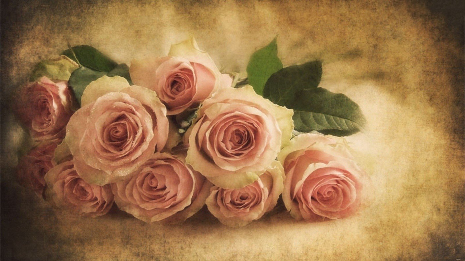 Pink Roses Vintage Wallpapers