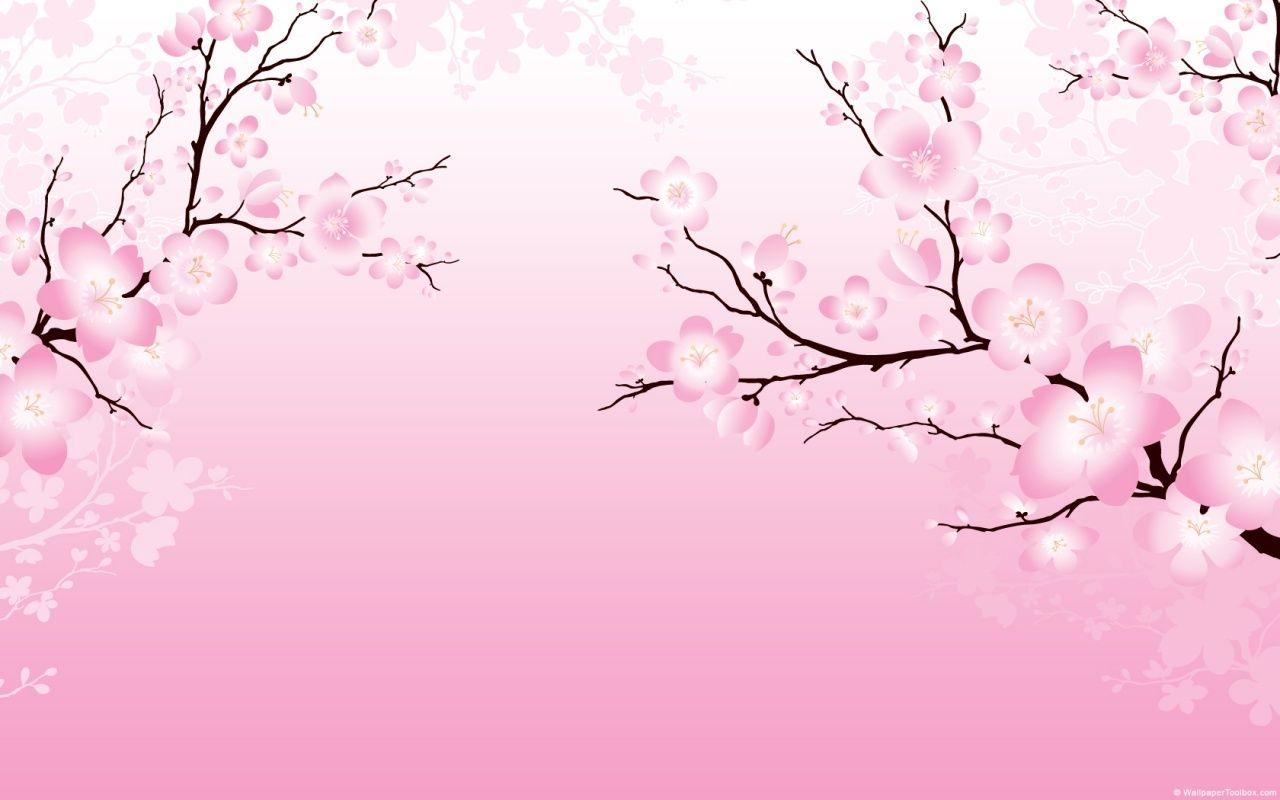 Pink Sakura Wallpapers