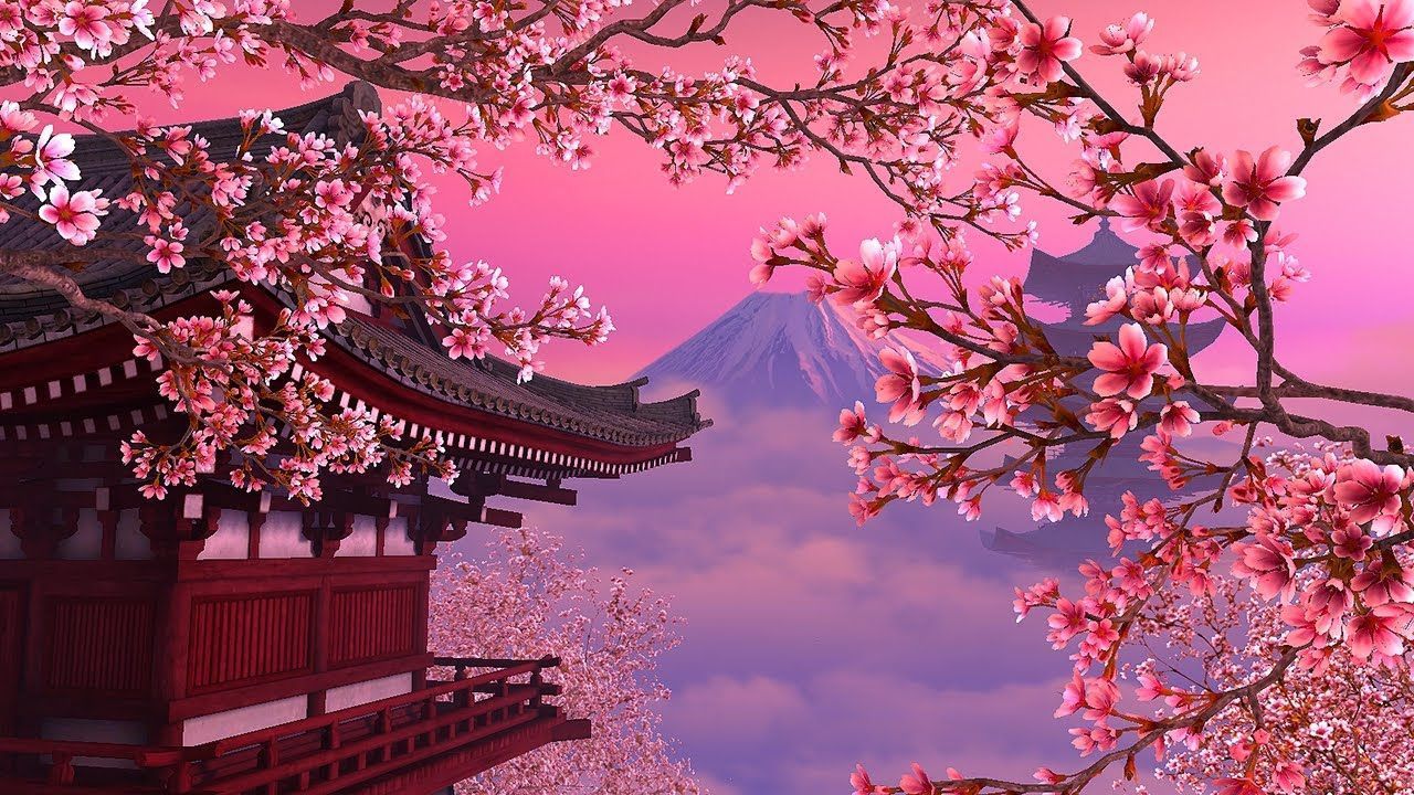 Pink Sakura Tree Anime Aesthetic Wallpapers