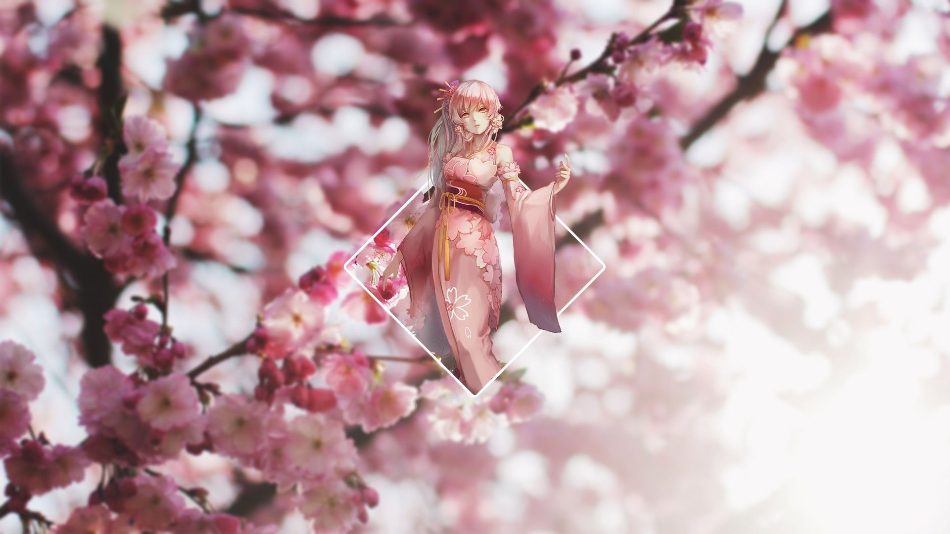 Pink Sakura Tree Anime Aesthetic Wallpapers