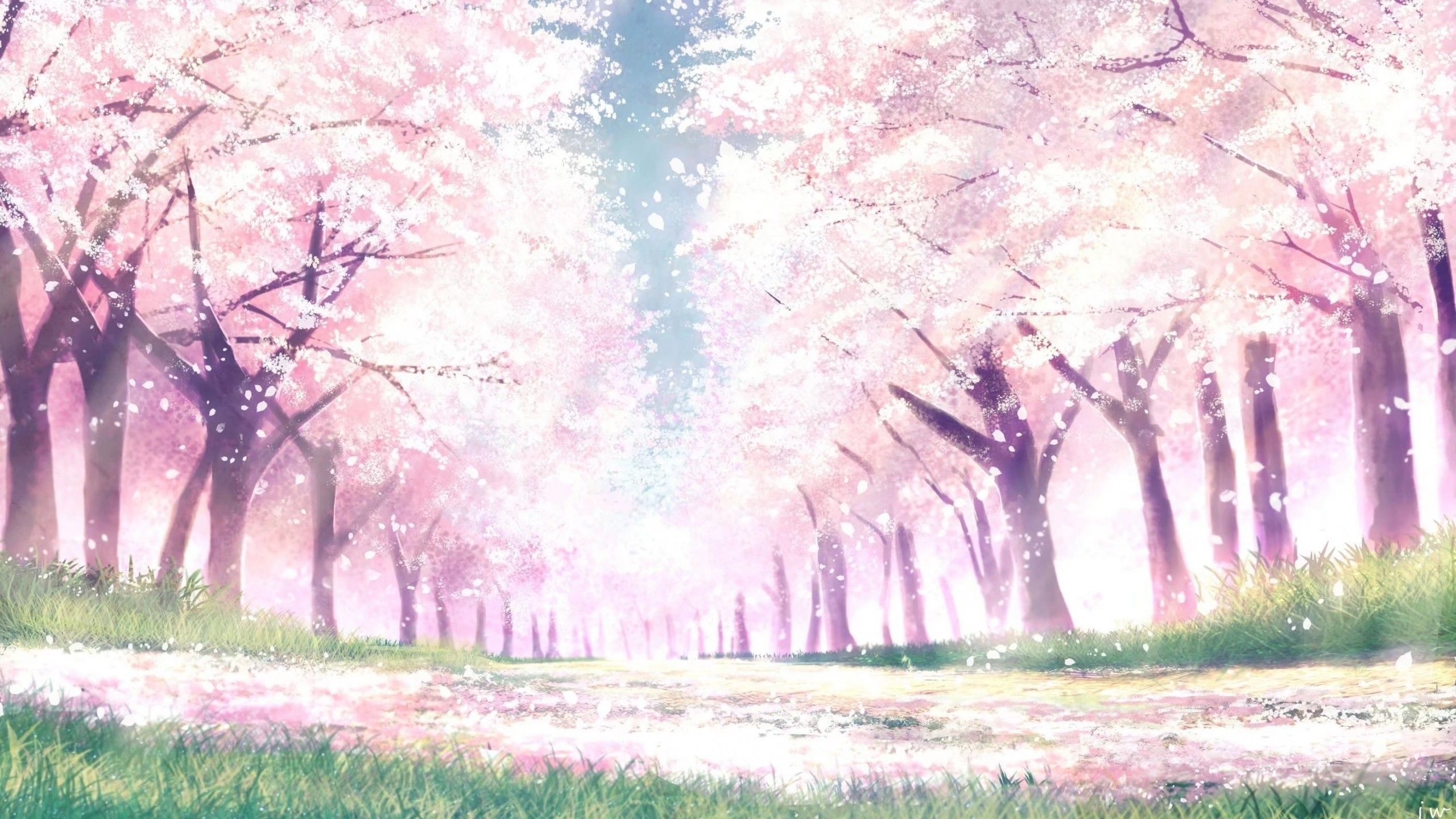 Pink Sakura Tree Anime Aesthetic Wallpapers