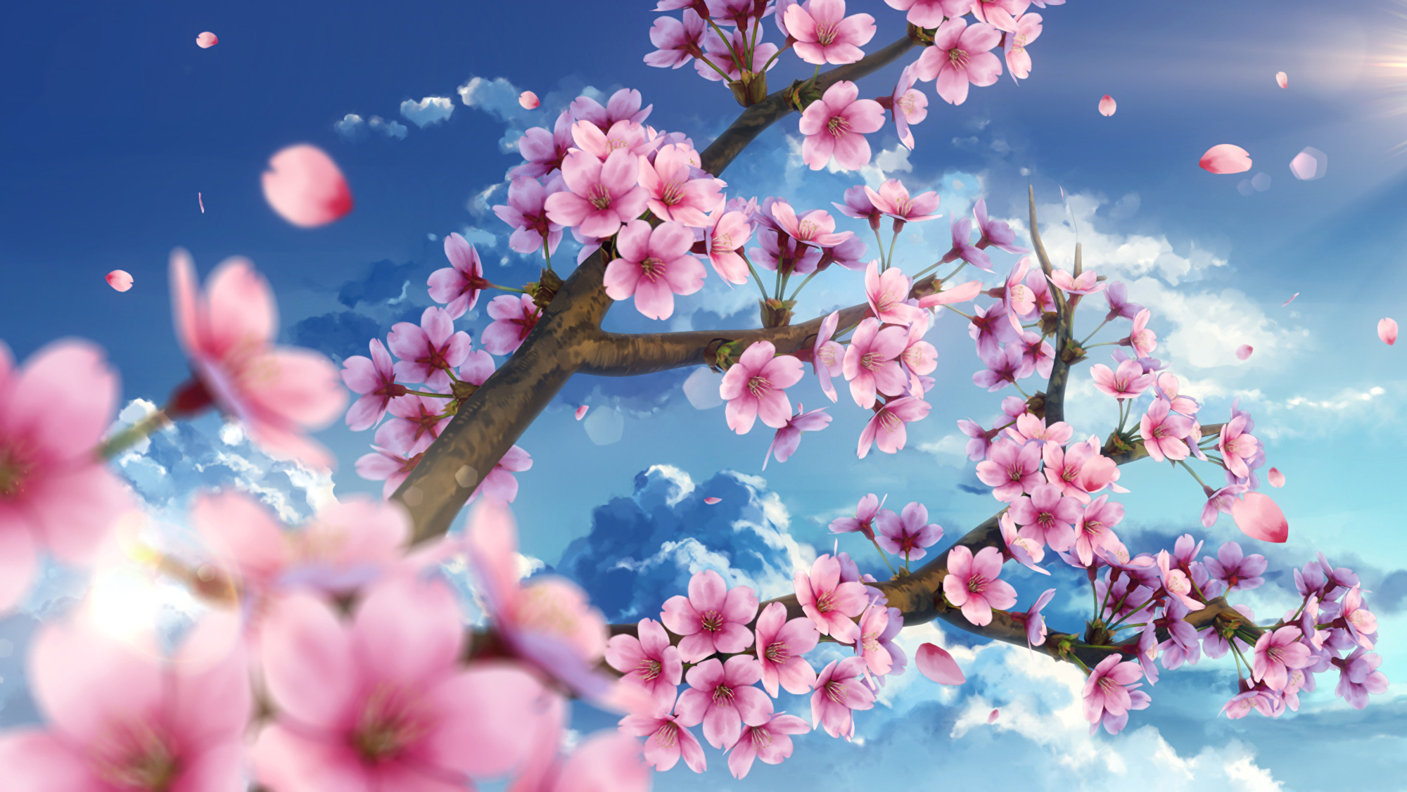 Pink Sakura Tree Anime Aesthetic Wallpapers