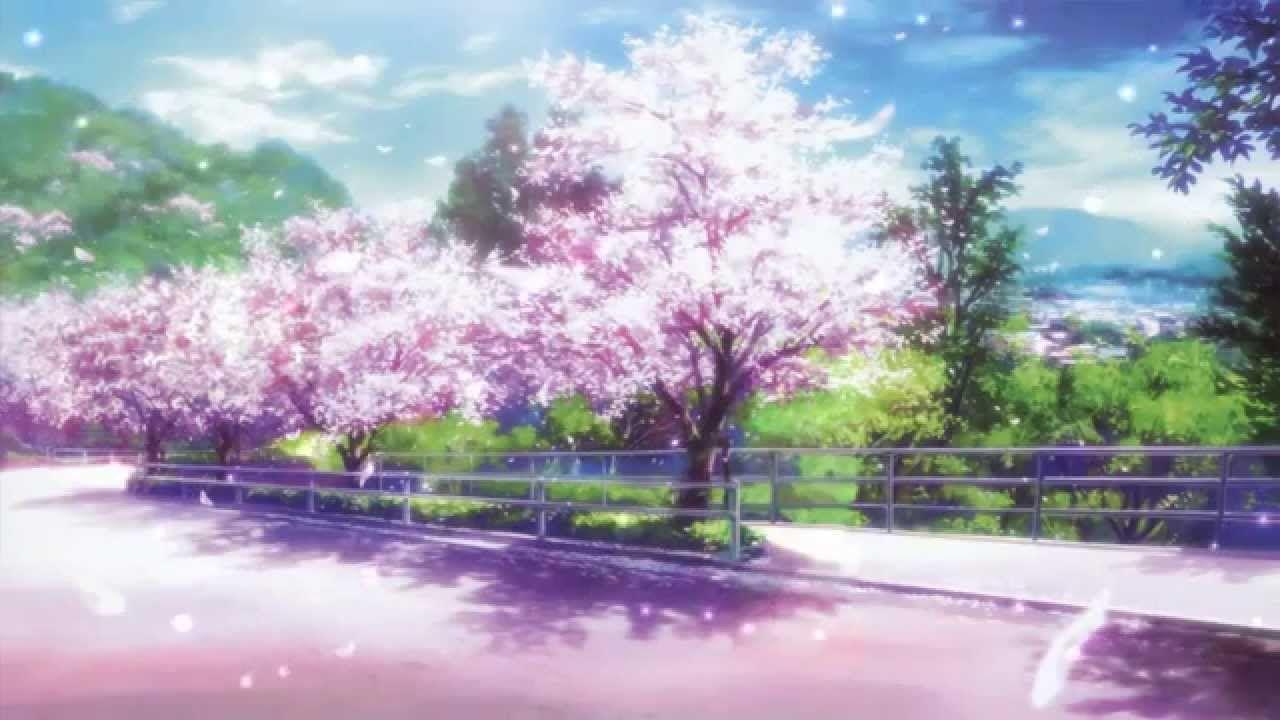 Pink Sakura Tree Anime Aesthetic Wallpapers