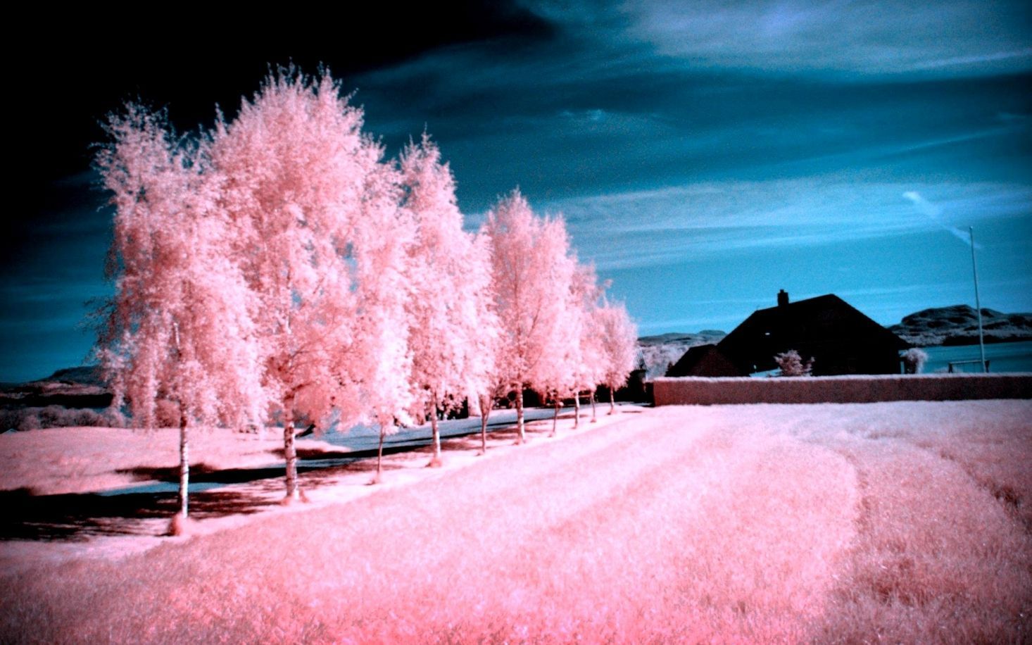 Pink Scenery Wallpapers