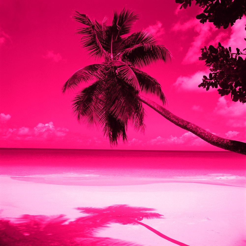 Pink Scenic Wallpapers