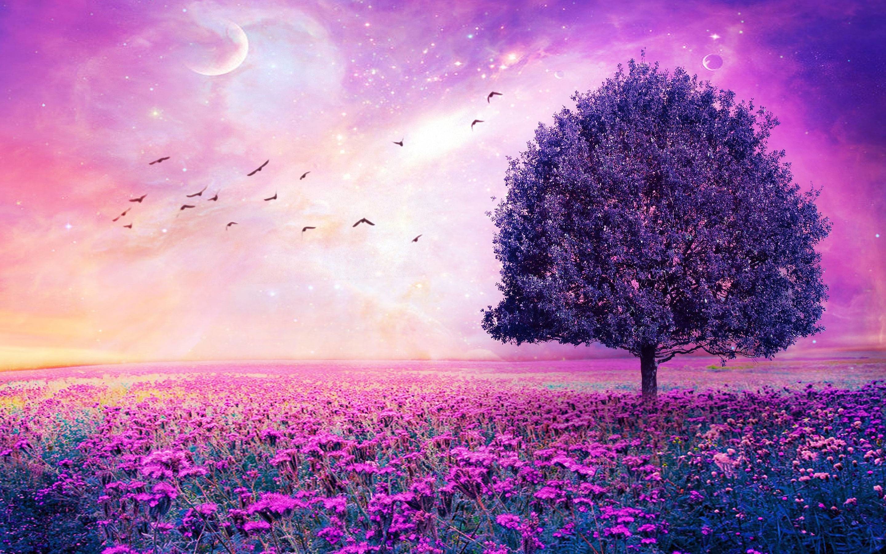 Pink Trees Wallpapers