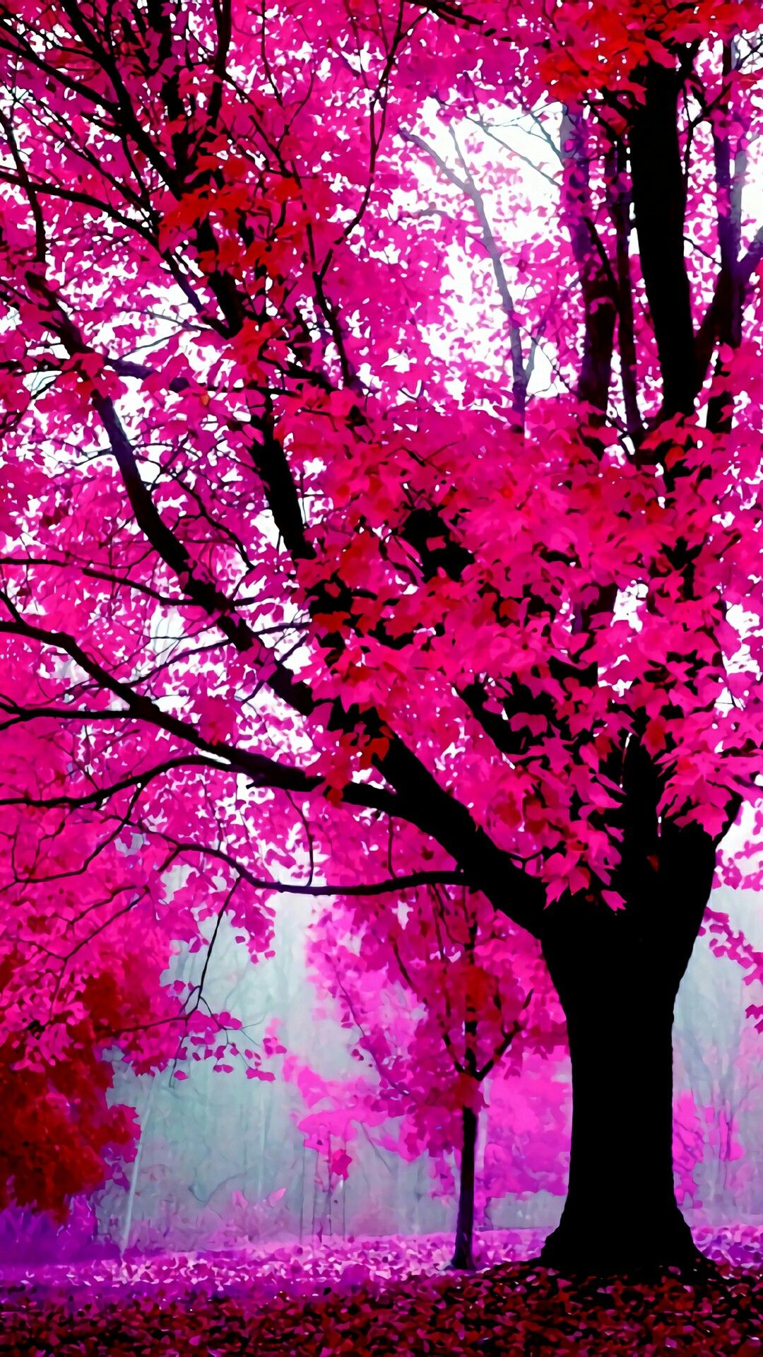 Pink Trees Wallpapers