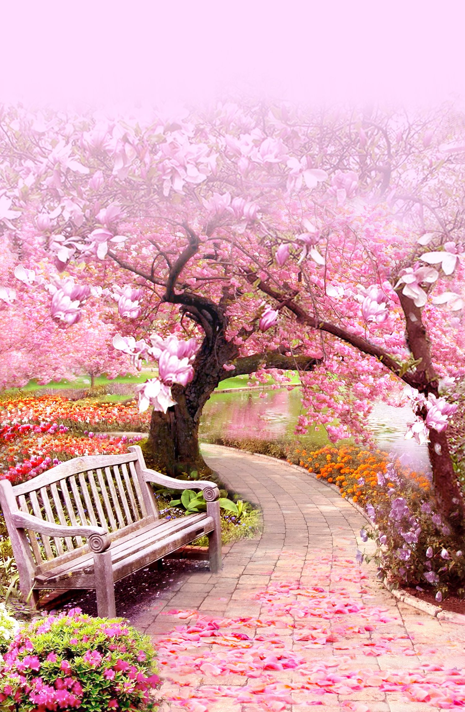 Pink Trees Wallpapers