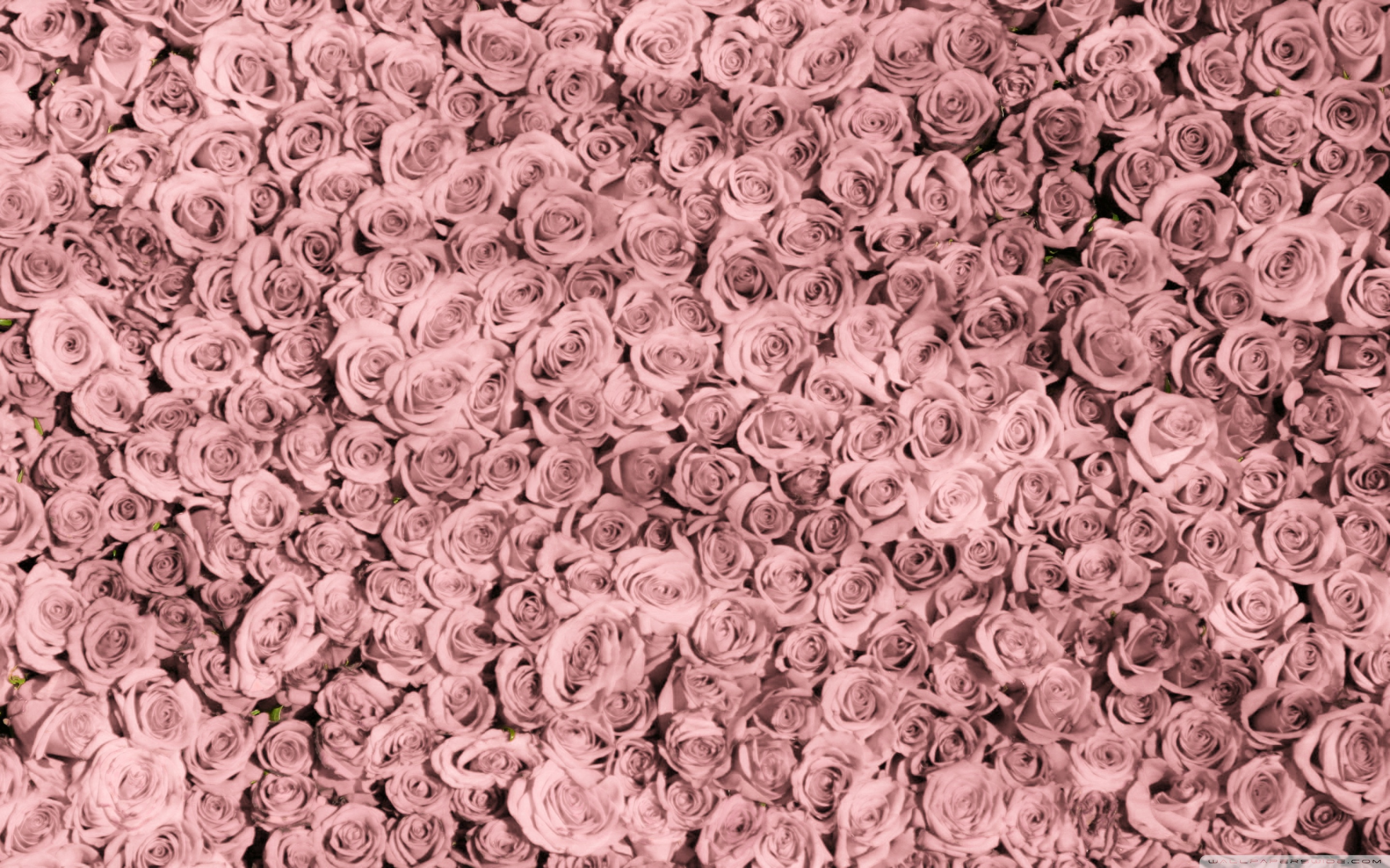 Pink Tumblr Hd Wallpapers