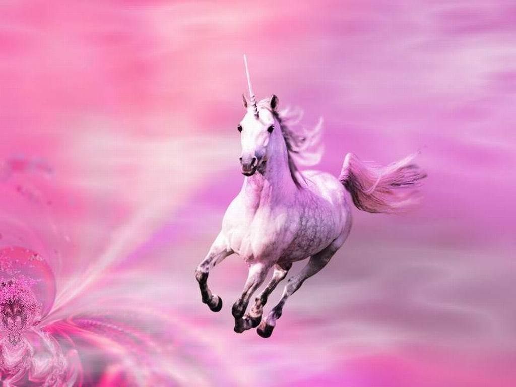 Pink Unicorn Wallpapers