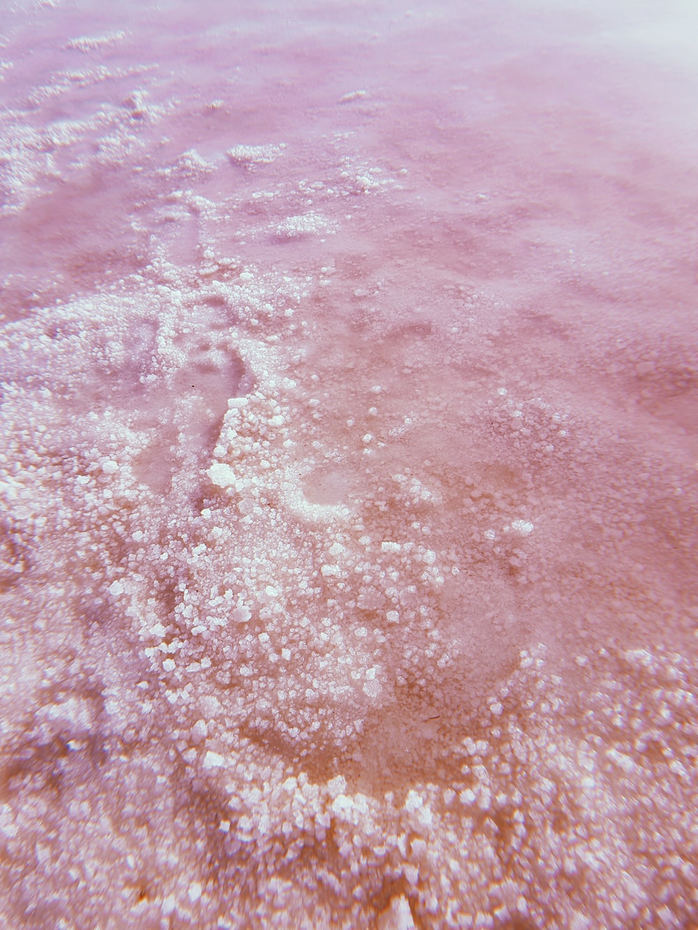 Pink Water Wallpapers