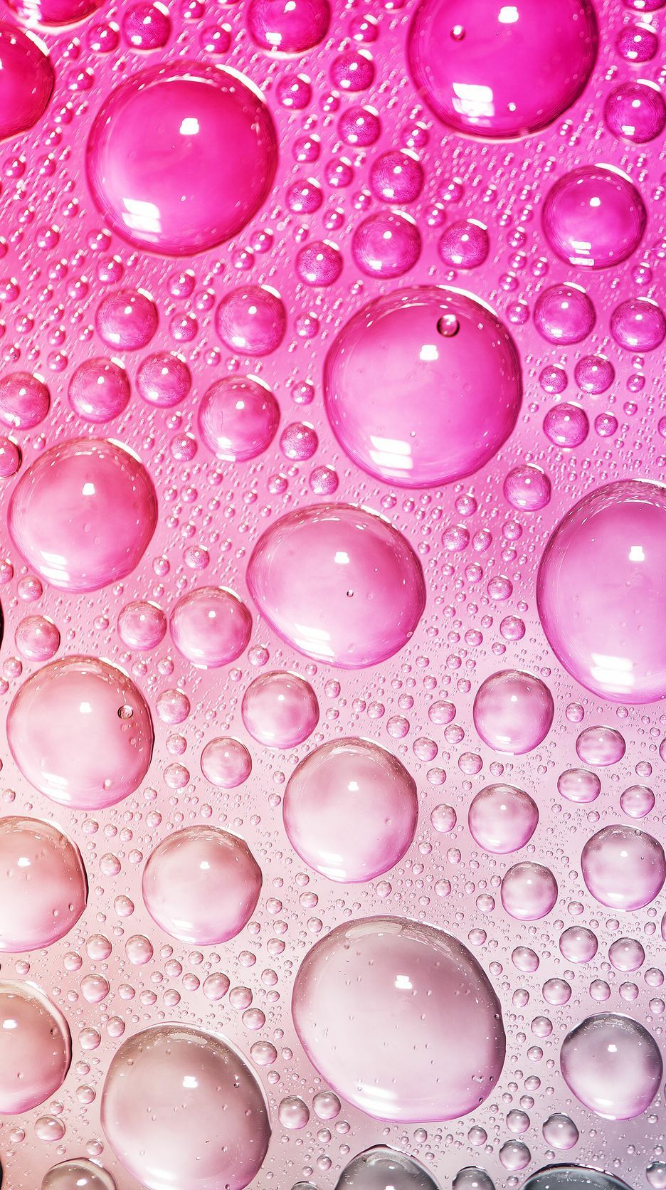 Pink Water Wallpapers