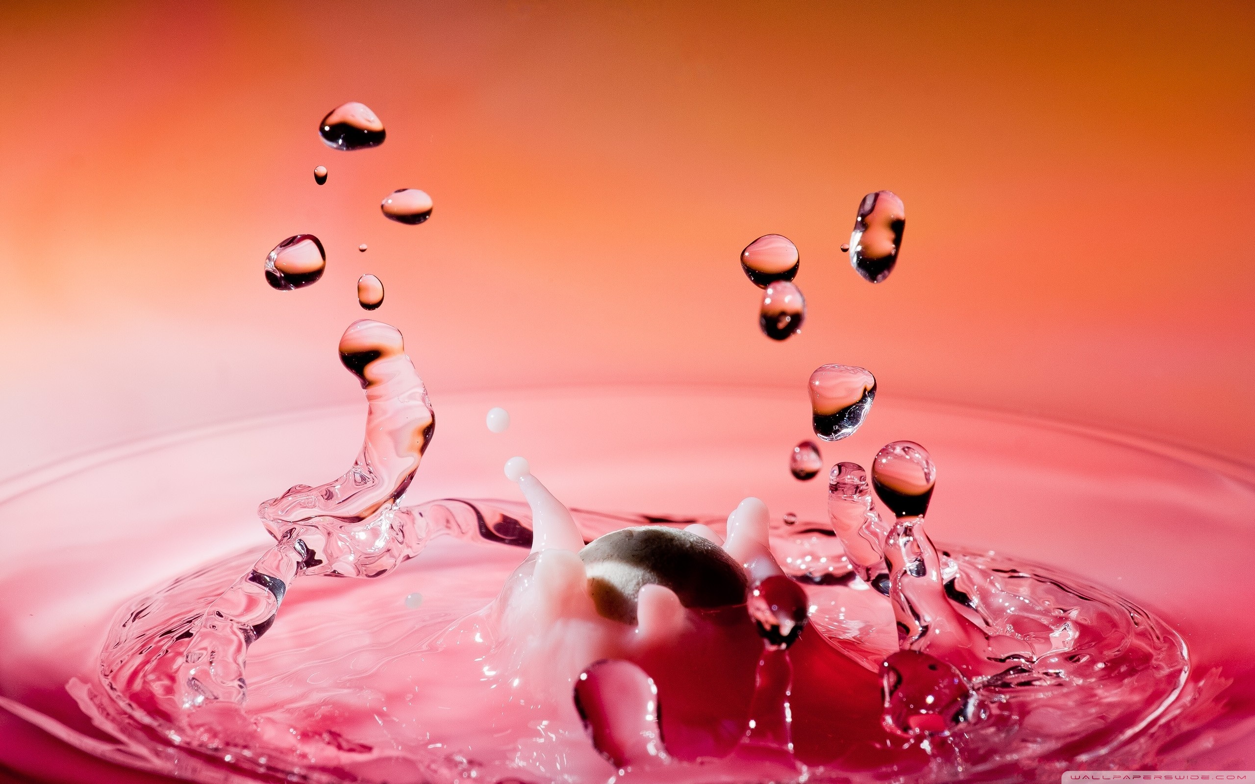 Pink Water Wallpapers