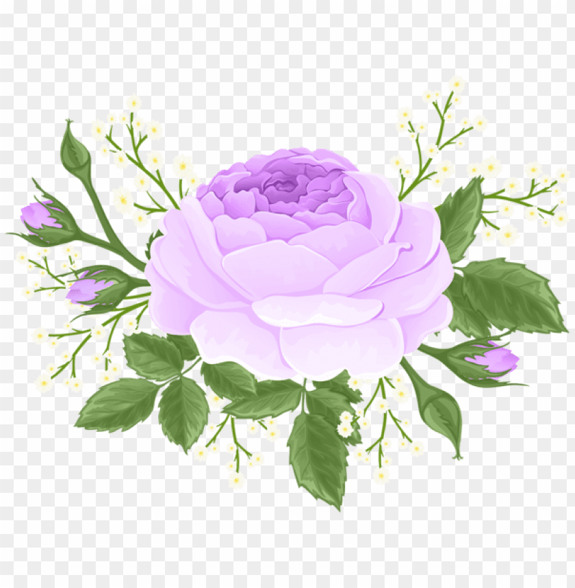 Purple Flowers White Background