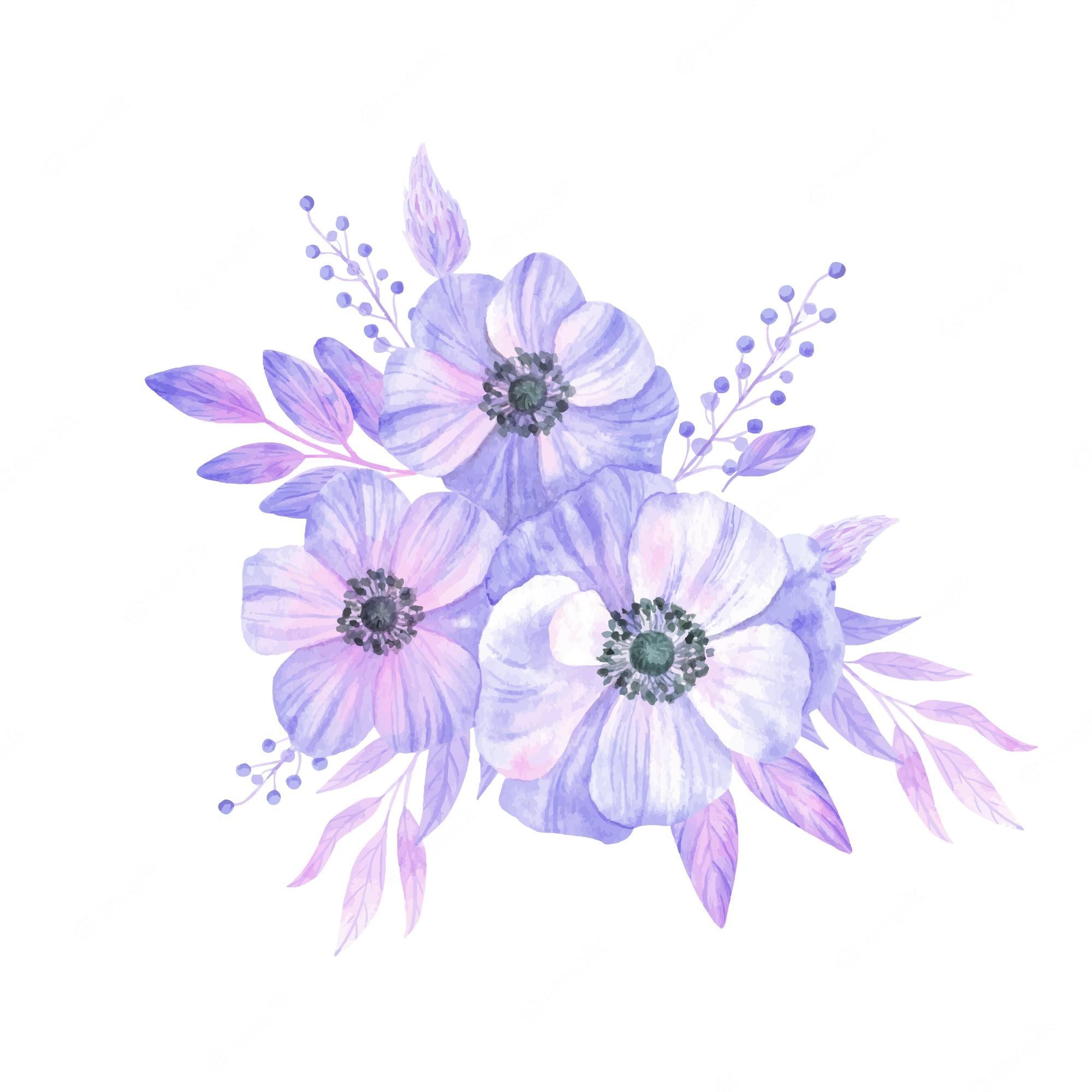 Purple Flowers White Background