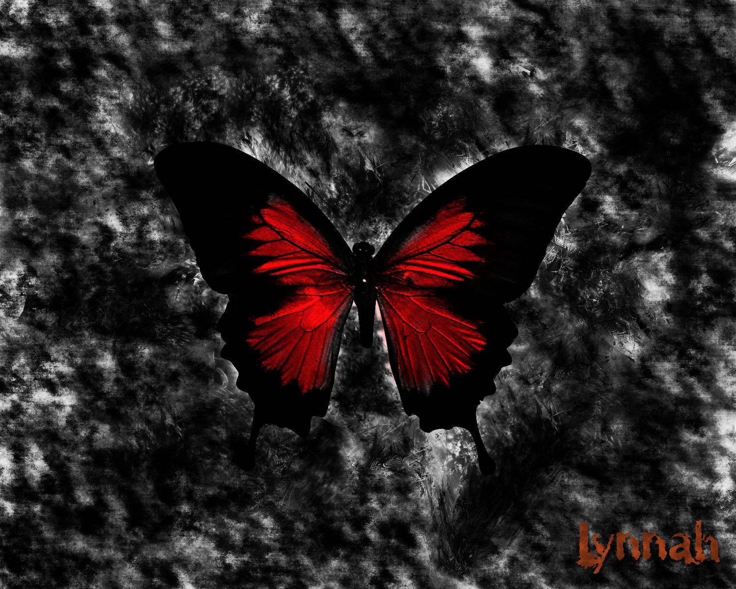 Red And Black Butterfly Wallpapers