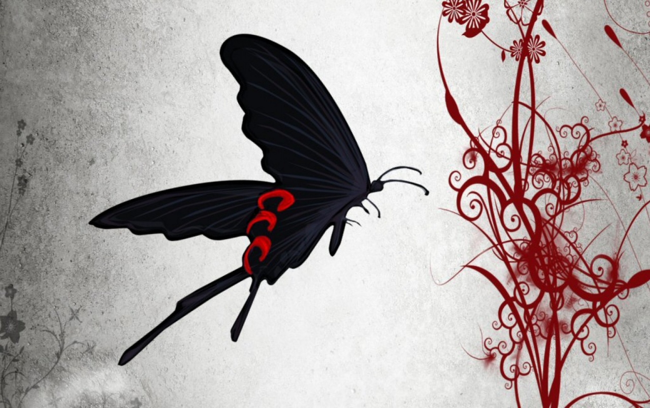 Red And Black Butterfly Wallpapers