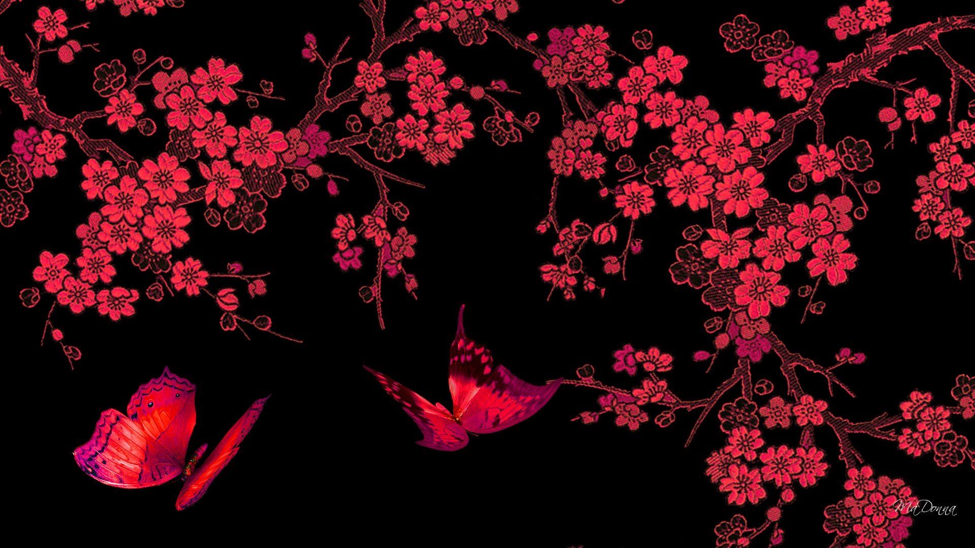 Red And Black Butterfly Wallpapers