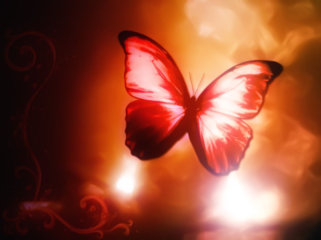 Red And Black Butterfly Wallpapers