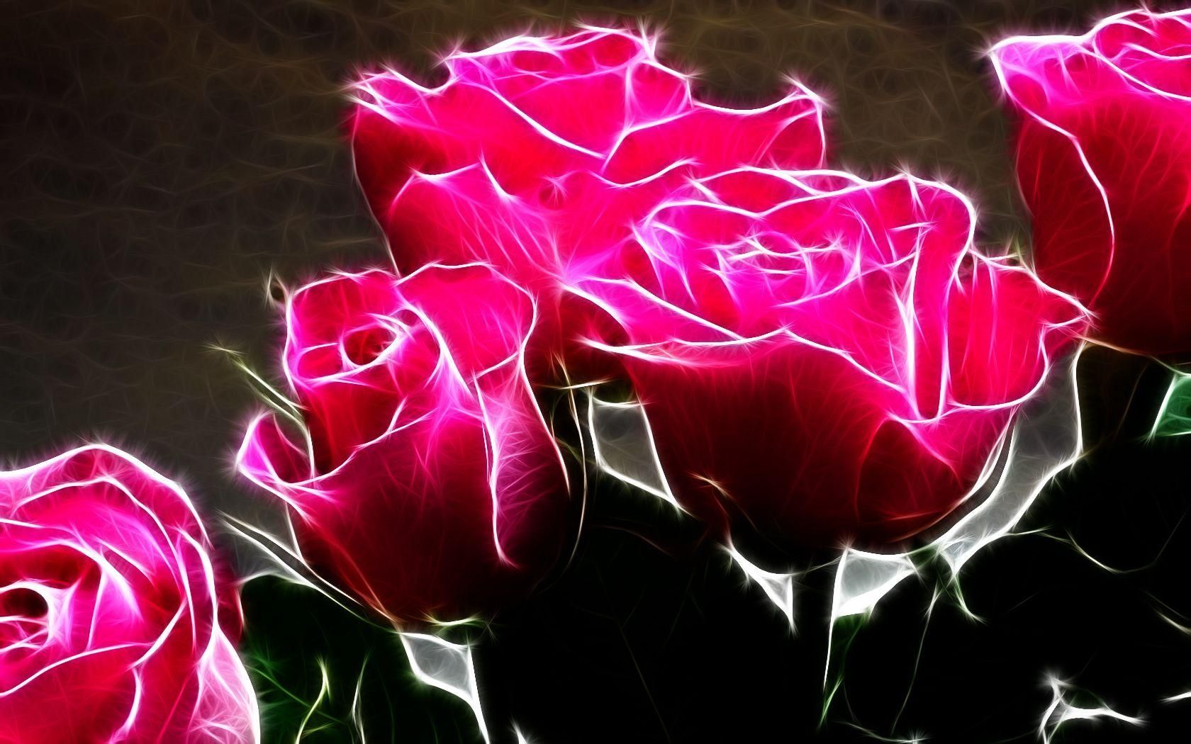 Red And Pink Roses Pics Wallpapers